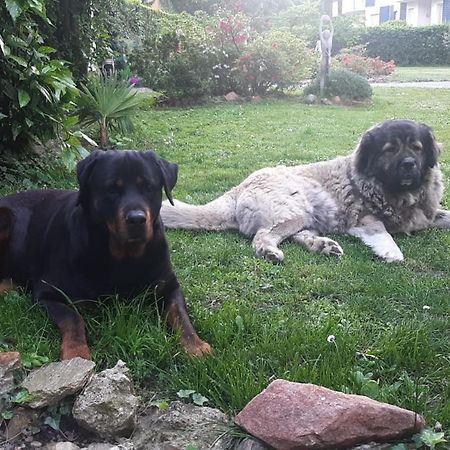 Invilla B&B Varese Esterno foto
