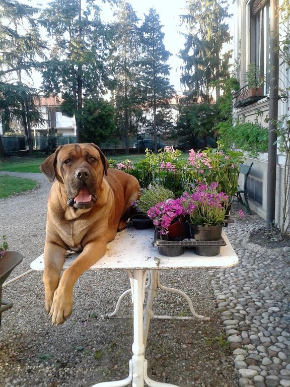 Invilla B&B Varese Esterno foto